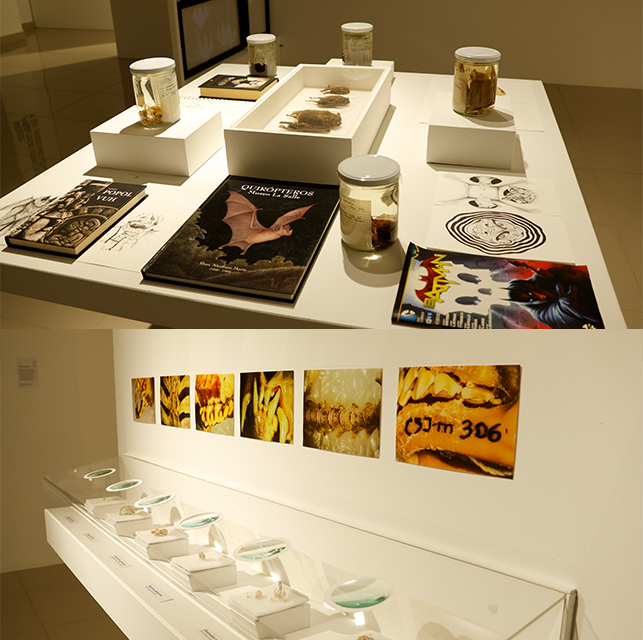 Investigación-creación