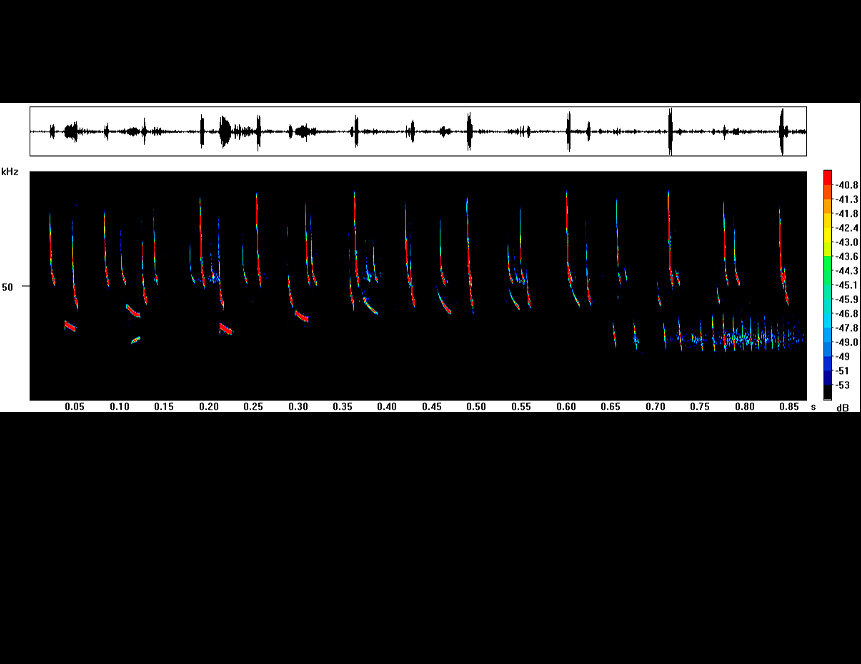 Investigación científica