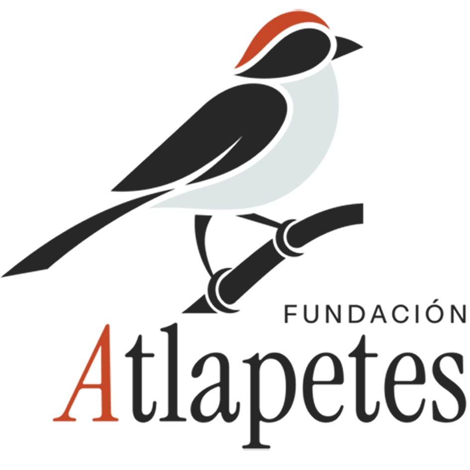 Atlapetes