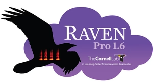 Raven